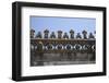 Portugal, Ribatejo Province, Tomar, Convent of the Knights of Christ, Main Cloister, Stone Relief-Samuel Magal-Framed Photographic Print