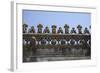 Portugal, Ribatejo Province, Tomar, Convent of the Knights of Christ, Main Cloister, Stone Relief-Samuel Magal-Framed Photographic Print