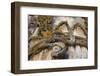 Portugal, Ribatejo Province, Tomar, Convent of the Knights of Christ, Main Cloister, Stone Relief-Samuel Magal-Framed Photographic Print