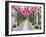 Portugal, Tomar. During the Feast of the Trays, or Festa dos Tabuleiros-Julie Eggers-Framed Photographic Print