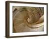 Portugal, Tomar. Stairway in the Royal Cloister of the Convent of Christ in Tomar.-Julie Eggers-Framed Photographic Print