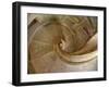 Portugal, Tomar. Stairway in the Royal Cloister of the Convent of Christ in Tomar.-Julie Eggers-Framed Photographic Print