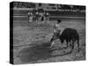 Portuguese Bullfight-null-Stretched Canvas