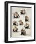 Portuguese Caravels from Memory of Armadas That from Portugal Passed to India-null-Framed Giclee Print