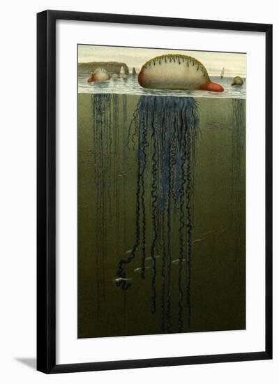 Portuguese Man O' War-F.W. Kuhnert-Framed Art Print