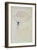 Portuguese Man-O'-War-John White-Framed Giclee Print