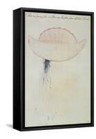 Portuguese Man-O'-War-John White-Framed Stretched Canvas