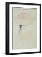 Portuguese Man-O'-War-John White-Framed Premium Giclee Print