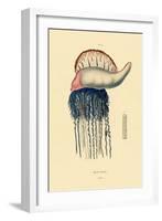 Portuguese Man-Of-War, 1833-39-null-Framed Giclee Print