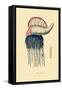 Portuguese Man-Of-War, 1833-39-null-Framed Stretched Canvas