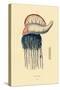 Portuguese Man-Of-War, 1833-39-null-Stretched Canvas