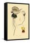 Portuguese Man-Of-War, 1833-39-null-Framed Stretched Canvas