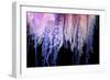 Portuguese Man-of-War close up of tentacles, Bermuda-Solvin Zankl-Framed Photographic Print