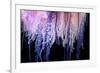 Portuguese Man-of-War close up of tentacles, Bermuda-Solvin Zankl-Framed Photographic Print