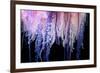 Portuguese Man-of-War close up of tentacles, Bermuda-Solvin Zankl-Framed Photographic Print