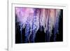 Portuguese Man-of-War close up of tentacles, Bermuda-Solvin Zankl-Framed Photographic Print