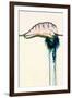 Portuguese Man-of-war-Georgette Douwma-Framed Photographic Print