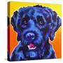 Portuguese Water Dog - Banks-Dawgart-Stretched Canvas