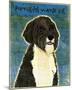 Portuguese Water Dog-John Golden-Mounted Giclee Print