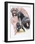 Portuguese Water Dog-Barbara Keith-Framed Giclee Print