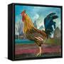 Posed Cockerel-Alex Williams-Framed Stretched Canvas