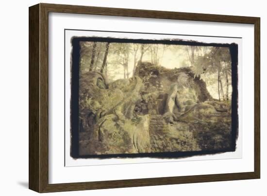 Poseidon and Fish-Theo Westenberger-Framed Photographic Print