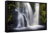 Posforth Gill Waterfall, Bolton Abbey, Yorkshire Dales, Yorkshire, England, United Kingdom, Europe-Bill Ward-Framed Stretched Canvas