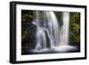 Posforth Gill Waterfall, Bolton Abbey, Yorkshire Dales, Yorkshire, England, United Kingdom, Europe-Bill Ward-Framed Photographic Print