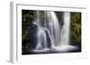 Posforth Gill Waterfall, Bolton Abbey, Yorkshire Dales, Yorkshire, England, United Kingdom, Europe-Bill Ward-Framed Photographic Print