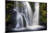 Posforth Gill Waterfall, Bolton Abbey, Yorkshire Dales, Yorkshire, England, United Kingdom, Europe-Bill Ward-Mounted Photographic Print