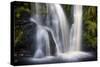 Posforth Gill Waterfall, Bolton Abbey, Yorkshire Dales, Yorkshire, England, United Kingdom, Europe-Bill Ward-Stretched Canvas