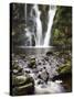 Posforth Gill Waterfall, Bolton Abbey, Yorkshire, England, United Kingdom, Europe-Mark Sunderland-Stretched Canvas