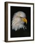 Posing-Art Wolfe-Framed Photographic Print