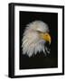 Posing-Art Wolfe-Framed Photographic Print