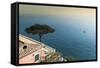 Positano, Amalfi Peninsula, UNESCO World Heritage Site, Campania, Italy, Mediterranean, Europe-Angelo Cavalli-Framed Stretched Canvas