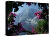 Positano and the Amalfi Coast through Bougainvilla Flowers, Italy-Merrill Images-Stretched Canvas