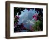 Positano and the Amalfi Coast through Bougainvilla Flowers, Italy-Merrill Images-Framed Photographic Print