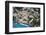 Positano Houses And Beach From Above, Italy-George Oze-Framed Photographic Print