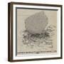 Position of the Keel of the Great Britain Imbedded in the Sand-null-Framed Giclee Print