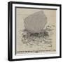 Position of the Keel of the Great Britain Imbedded in the Sand-null-Framed Giclee Print