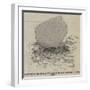 Position of the Keel of the Great Britain Imbedded in the Sand-null-Framed Giclee Print