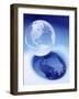 Positive and Negative Worlds-William Whitehurst-Framed Photographic Print