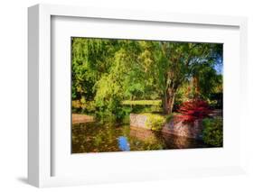 Positive Vibes-Philippe Sainte-Laudy-Framed Photographic Print