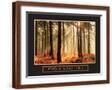 Brown Frame