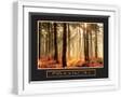 White Frame
