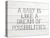 Possibilities Gray-Gigi Louise-Stretched Canvas