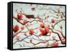 Possibilities in Full Bloom-Holly Van Hart-Framed Stretched Canvas