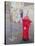 Post Box-Antonia Myatt-Stretched Canvas