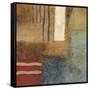 Post Mark 1-Gabriela Villarreal-Framed Stretched Canvas