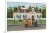 Post Office, American Flag-Anthony Kleem-Framed Giclee Print